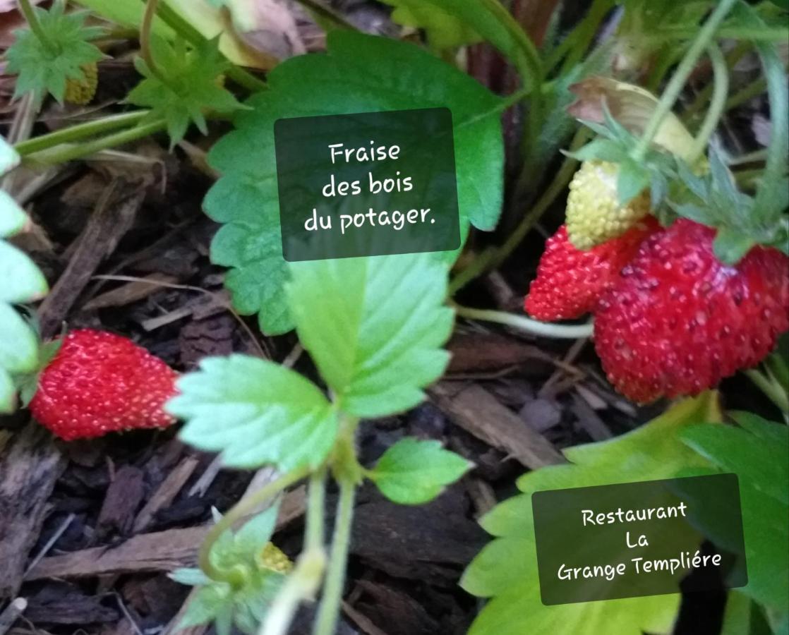 La Grange Templiere 2018 Bed & Breakfast Peyreleau Eksteriør bilde